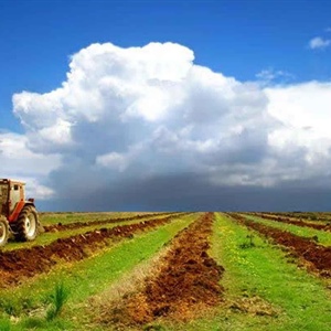 تنوع جغرافیایی مشارکت کنندگان نمایشگاه کشاورزی اصفهان، گویای جذابیت این رویداد برای فعالان این عرصه